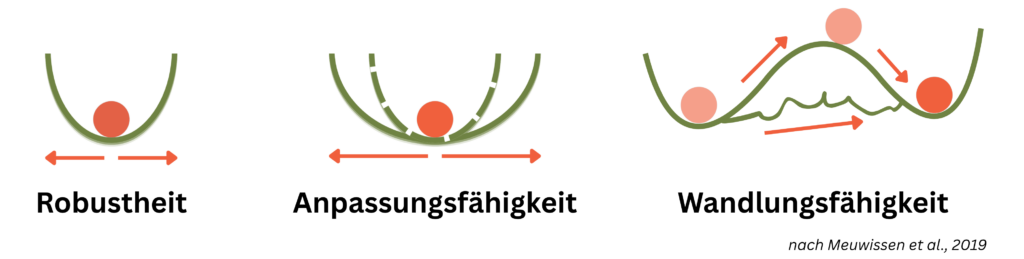 ROBUSTGemüse Resilienzkapazitäten